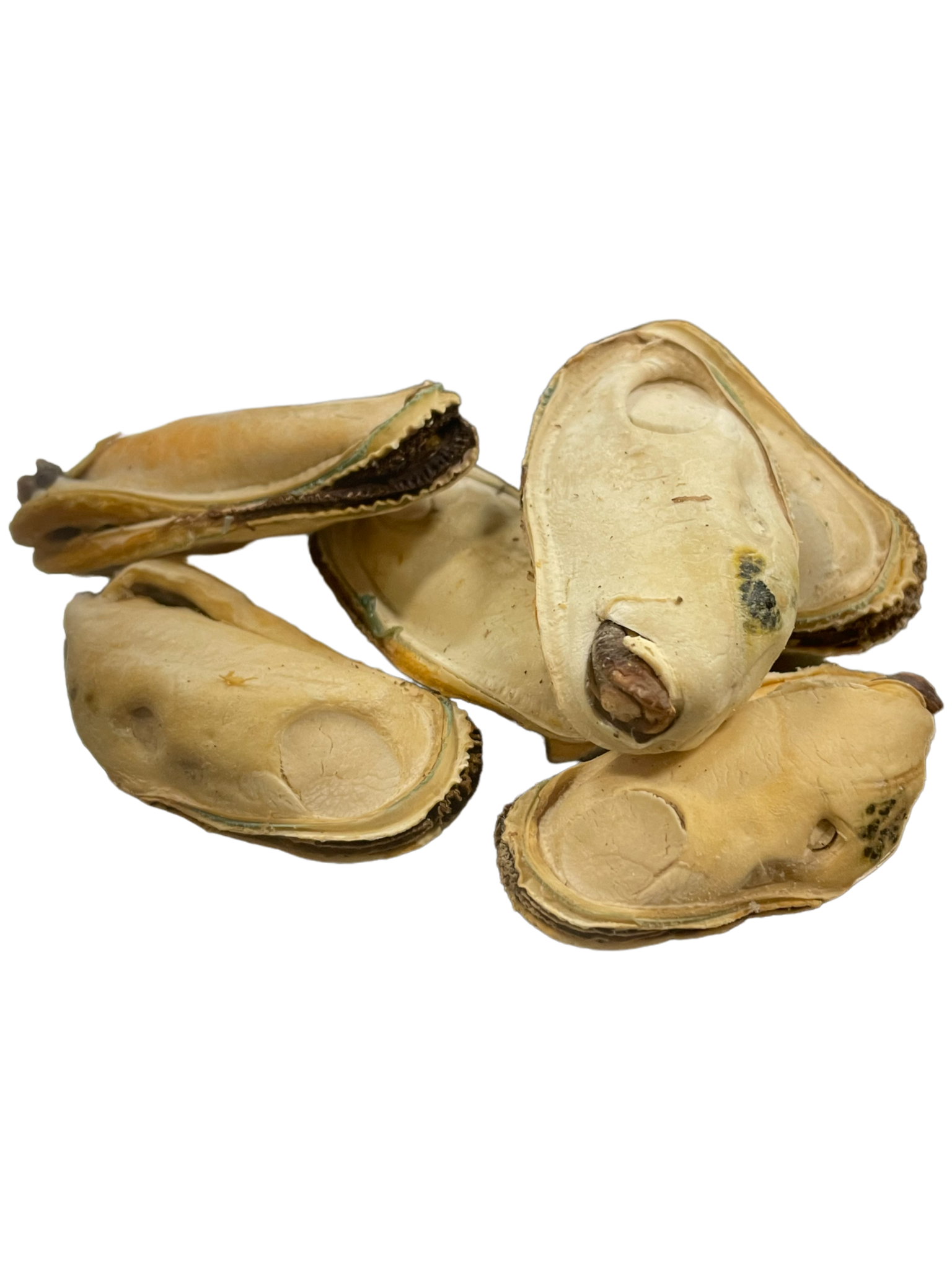 Freeze Dried Green Lipped Mussels